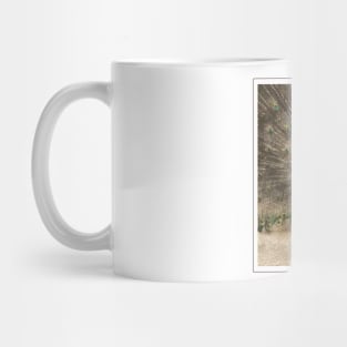 Peacock Mug